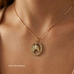Best FURever Friends Horse in Horseshoe Sterling Silver Charm, 22.9 x 18 mm, Gold slide 2 of 2