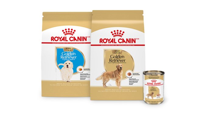 Royal Canin Golden Retriever Adult Dry Dog Food (Free Shipping