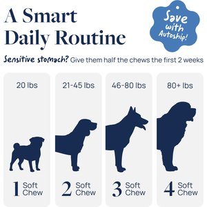 Veterinary Formula Smart Vitality Pork Flavor Soft Chew Eye Health Supplement for Dogs, 60 count