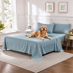 Sweet Home Collection Ultra Soft 1800 Series Double Brushed Microfiber 4-Piece Sheet Set, Misty Blue, Queen