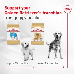 Royal Canin Breed Health Nutrition Golden Retriever Adult Dry Dog Food, 30-lb bag slide 2 of 9