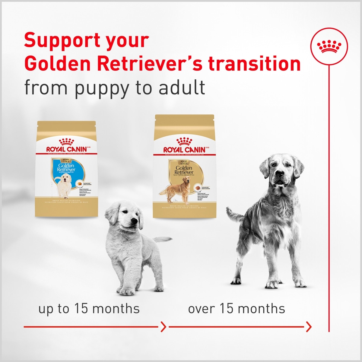 Royal Canin Golden Retriever Adult Dry Dog Food (Free Shipping