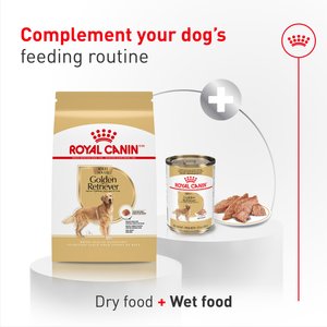 Royal Canin Breed Health Nutrition Golden Retriever Adult Dry Dog Food, 30-lb bag