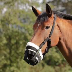 Shires Equestrian Products Deluxe Comfort Horse Grazing Muzzle, Black, Full