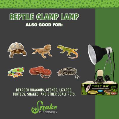 Show full view: Snake Discovery Dimmable Reptile Clamp Lamp, Black, 8.5-in slide 7 of 8