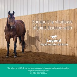 Legend (hyaluronate sodium) Injectable Solution for Horses, 10 mg/mL, 4-mL Vial slide 2 of 3