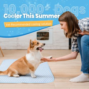 Mora Pets Breathable Cooling Dog & Cat Pad, Light Blue, Small