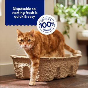 Chewy Made High-Sided Heavy Duty Disposable Litter Box, Jumbo (FORMERLY FRISCO), 21-in, 2 count