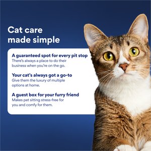Chewy Made Disposable Litter Box, Medium (FORMERLY FRISCO), 18-in, 3 count