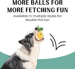HugSmart Squeaky Spiky Ball Durable Mesh Plush Highland Cow Dog Toy, Medium slide 2 of 5