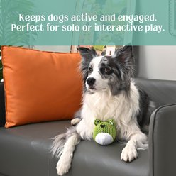 HugSmart Squeaky Spiky Ball Durable Mesh Plush Frog Dog Toy, Medium slide 2 of 5