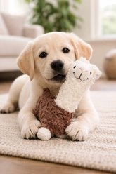 Our Green House Organic Stuffed Alpaca Dog Toy, Brown slide 2 of 2