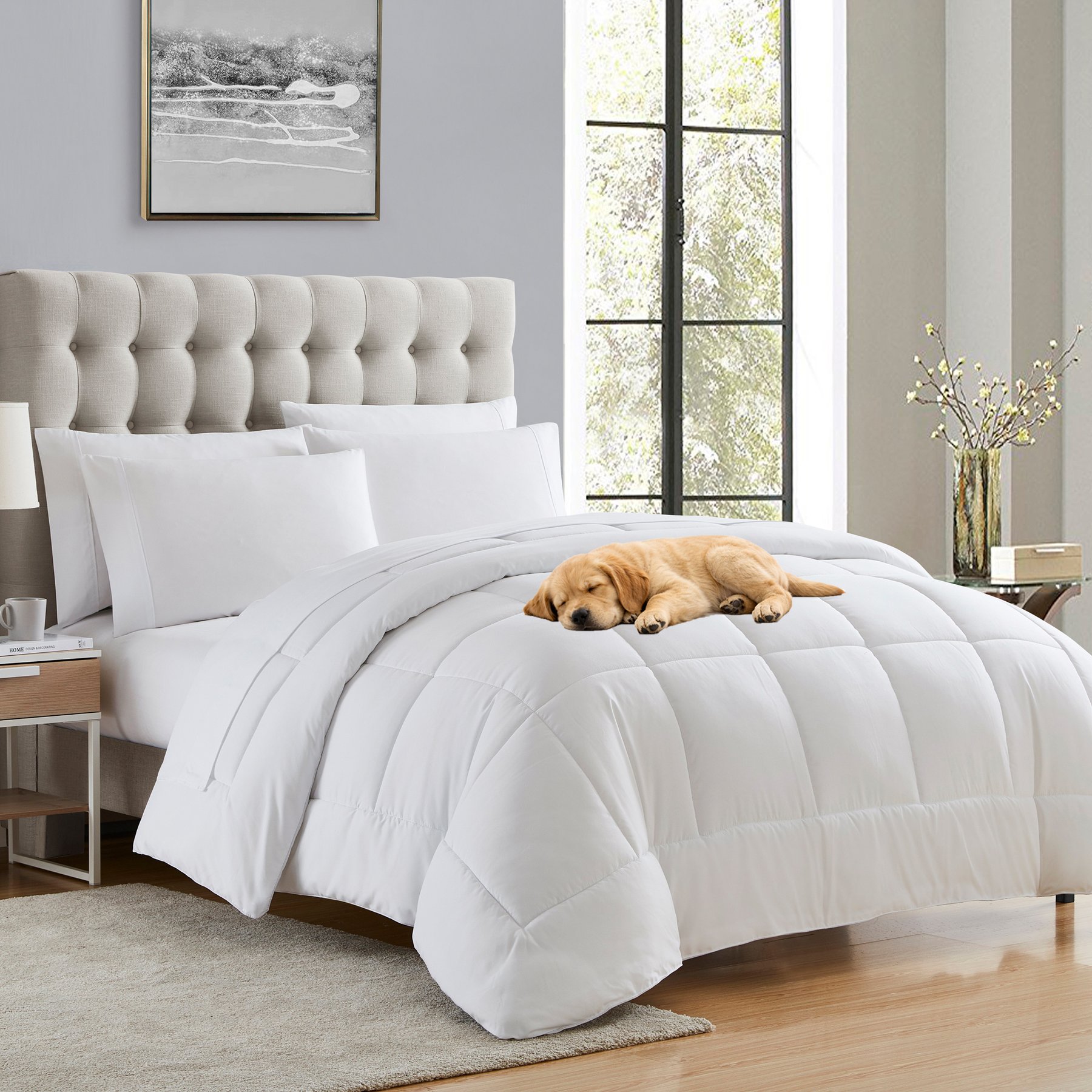 Sweet Home Collection All Season Bed-in-A-Bag Solid Color Comforter & Sheet Set, White, Queen