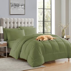 Sweet Home Collection All Season Bed-in-A-Bag Solid Color Comforter & Sheet Set, Sage, Queen