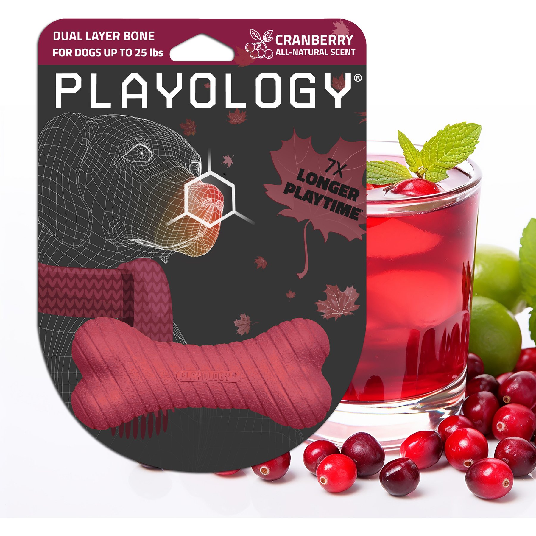 Playology Dual Layer Bone Cranberry Scented Dog Toy, Small