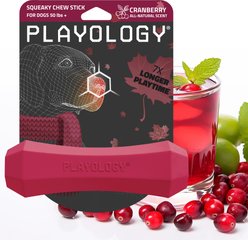 Playology Squeaky Chew Stick Cranberry Scented Dog Toy, Jumbo