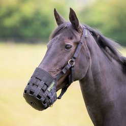 Shires Equestrian Products Comfort Horse Grazing Muzzle, Black, Cob