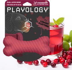 Playology Dual Layer Bone Cranberry Scented Dog Toy, Medium