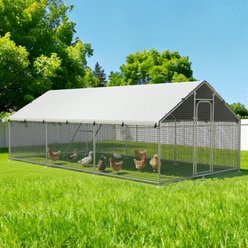 Xbrigh Metal Spire Shaped Walk-In Poultry Cage Chicken Coop, Silver, 19.7 x 9.8 x 6.4-ft