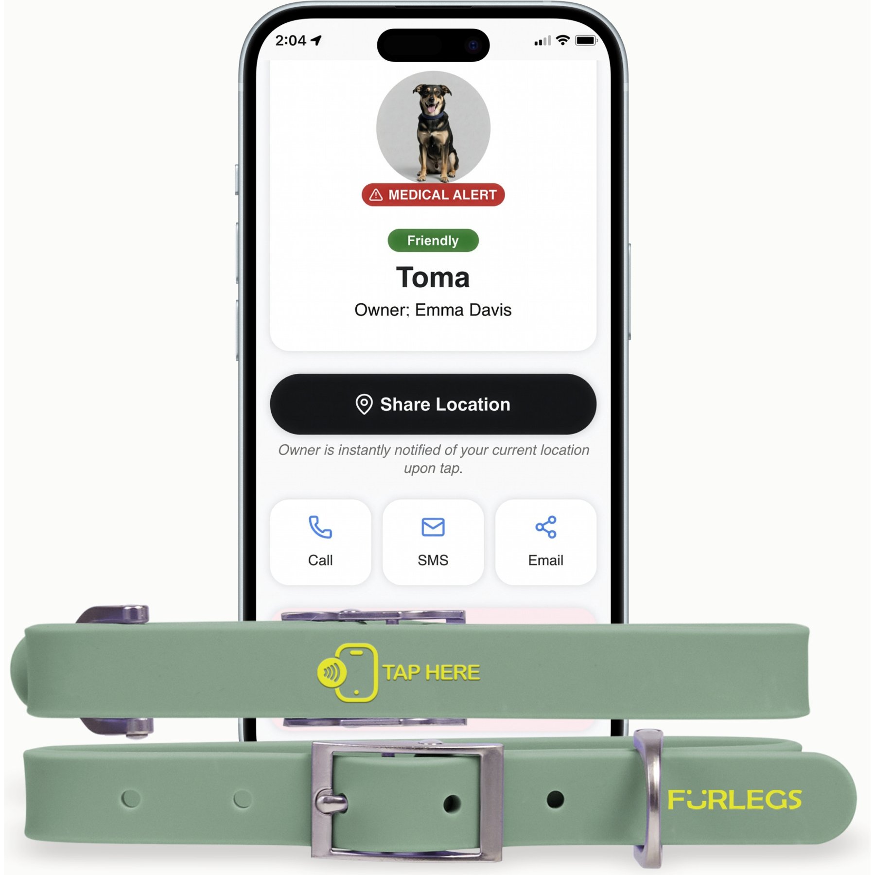 Furlegs TapSafe Silicollar Smart ID & Medical Alert Dog Collar, Watercress Green, Large