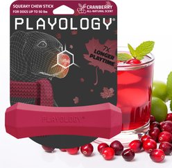 Playology Squeaky Chew Stick Cranberry Scented Dog Toy, Medium