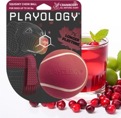 Playology Squeaky Chew Ball Cranberry Scented Dog Toy, Medium