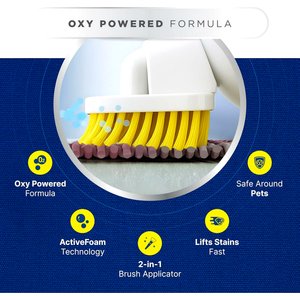 Carbona Oxy Powered Dog & Cat Stain & Odor Remover, 22-fl oz bottle