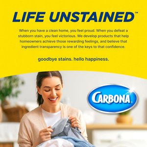 Carbona Oxy Powered Dog & Cat Stain & Odor Remover, 22-fl oz bottle