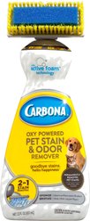 Carbona Oxy Powered Dog & Cat Stain & Odor Remover, 22-fl oz bottle slide 1 of 6