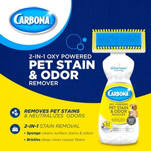 Carbona Oxy Powered Dog & Cat Stain & Odor Remover, 22-fl oz bottle