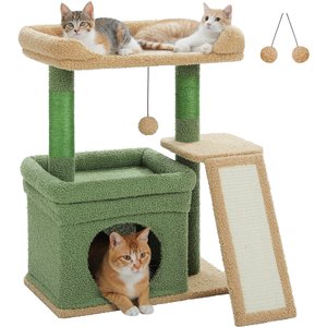 cat kidney wet food Complete Cat Wet Food Kidney Diet