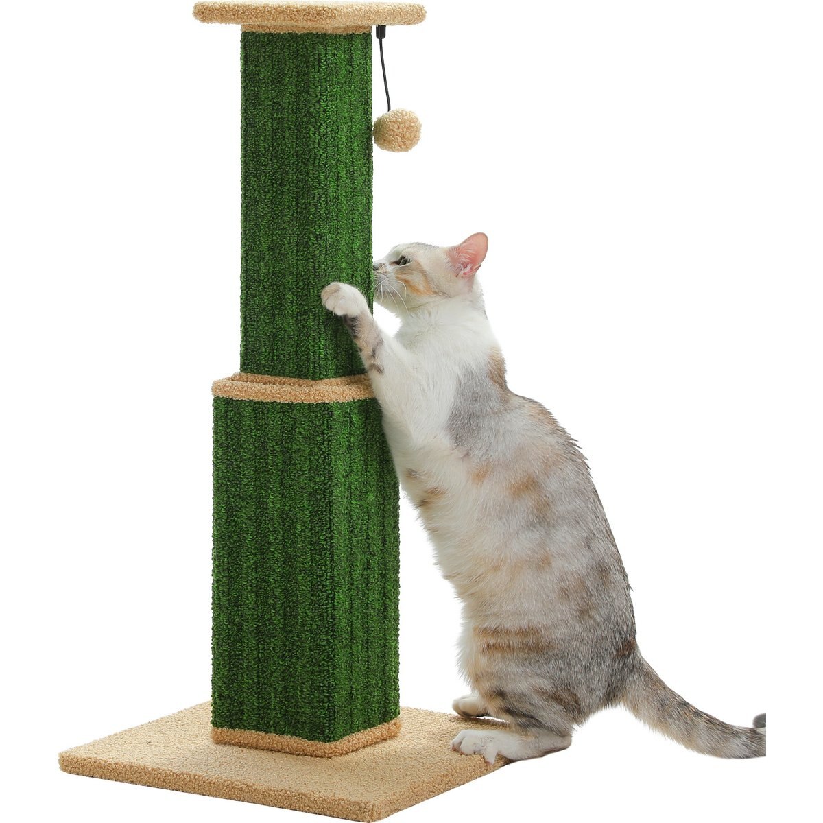 PAWZ Road 32-in Ultimate Large Cat Scratching Post with Woven Sisal, Green
