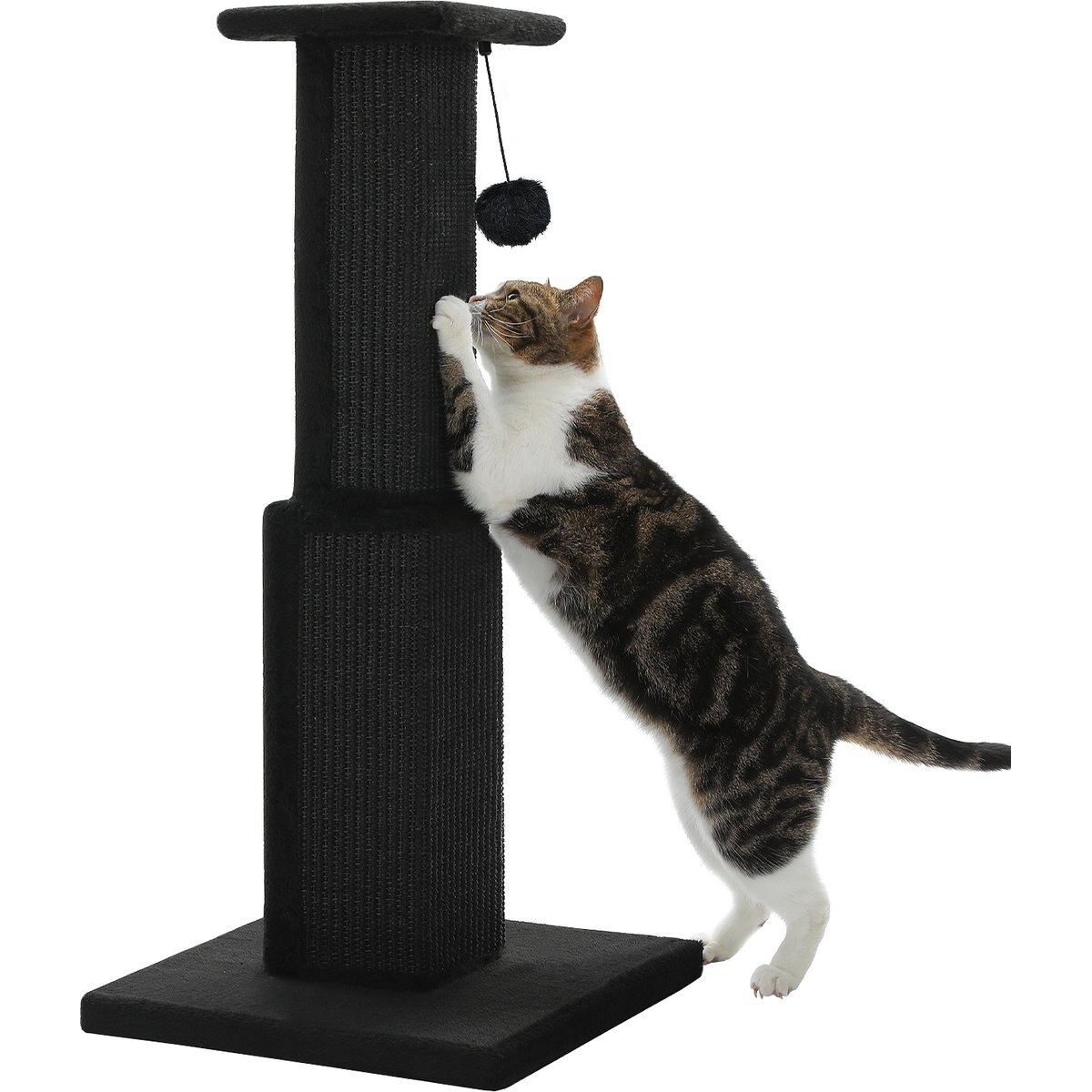 PAWZ Road 32-in Ultimate Large Cat Scratching Post with Woven Sisal, Black