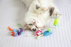 Quirky Kitty Cooling Ocean Mice Cat Plush Toy with Catnip, Multicolor, 5 count slide 2 of 5