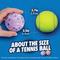 Show in main carousel: Chuckit! Birthday Ball Tough Dog Toy, Multicolor, Medium, 3 count slide 4 of 5