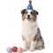 Show in main carousel: Chuckit! Birthday Ball Tough Dog Toy, Multicolor, Medium, 3 count slide 2 of 5