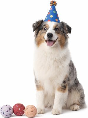 Show full view: Chuckit! Birthday Ball Tough Dog Toy, Multicolor, Medium, 3 count slide 2 of 5