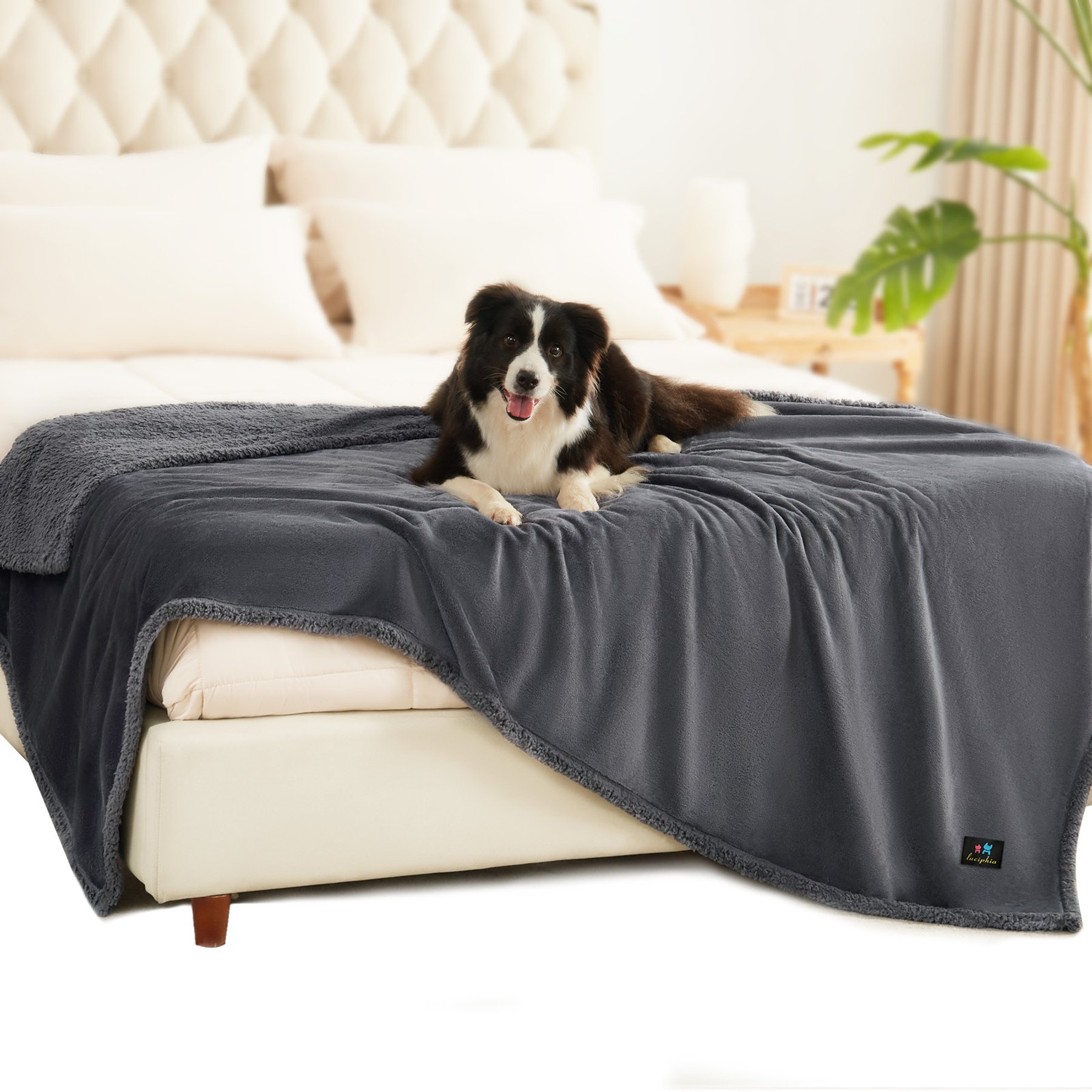 Luciphia Fluffy Waterproof Dog Blanket, Gray, 90 x 82-in