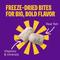 Show in main carousel: Wellness Complete Health+ Adult Whitefish & Sweet Potato Dry Dog Food, 20-lb bag slide 5 of 10