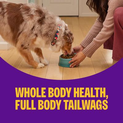 Show full view: Wellness Complete Health+ Adult Chicken & Oatmeal Dry Dog Food, 20-lb bag slide 6 of 10