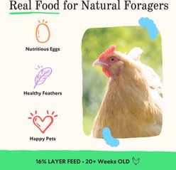 Grubbly Farms Fresh Pecks 16% Protein Layer Textured Mix, Whole Grains, & Seeds Poultry Feed, 30-lb bag slide 2 of 7