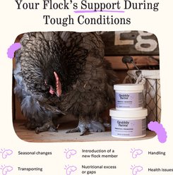 Grubbly Farms Prebiotics + Probiotics Poultry Powder Supplement, 30-g jar slide 2 of 7