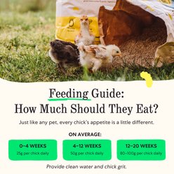 Grubbly Farms Little Pecks 19% Protein Starter Grower Crumbles Poultry Feed, 30-lb bag slide 2 of 7