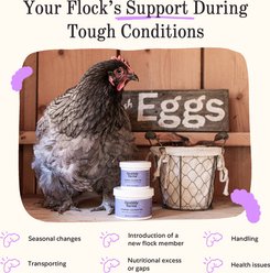 Grubbly Farms Vitamins + Electrolytes Poultry Powder Supplement, 30-g jar slide 2 of 7