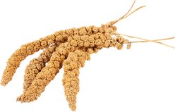 A&E Cage Company French Millet Seed Blends Bird Treats, 25-lb box slide 2 of 2