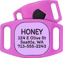 GoTags Life360 Tile Mate Personalized Tracker Holder Dog Collar Accessory, Pink, Large