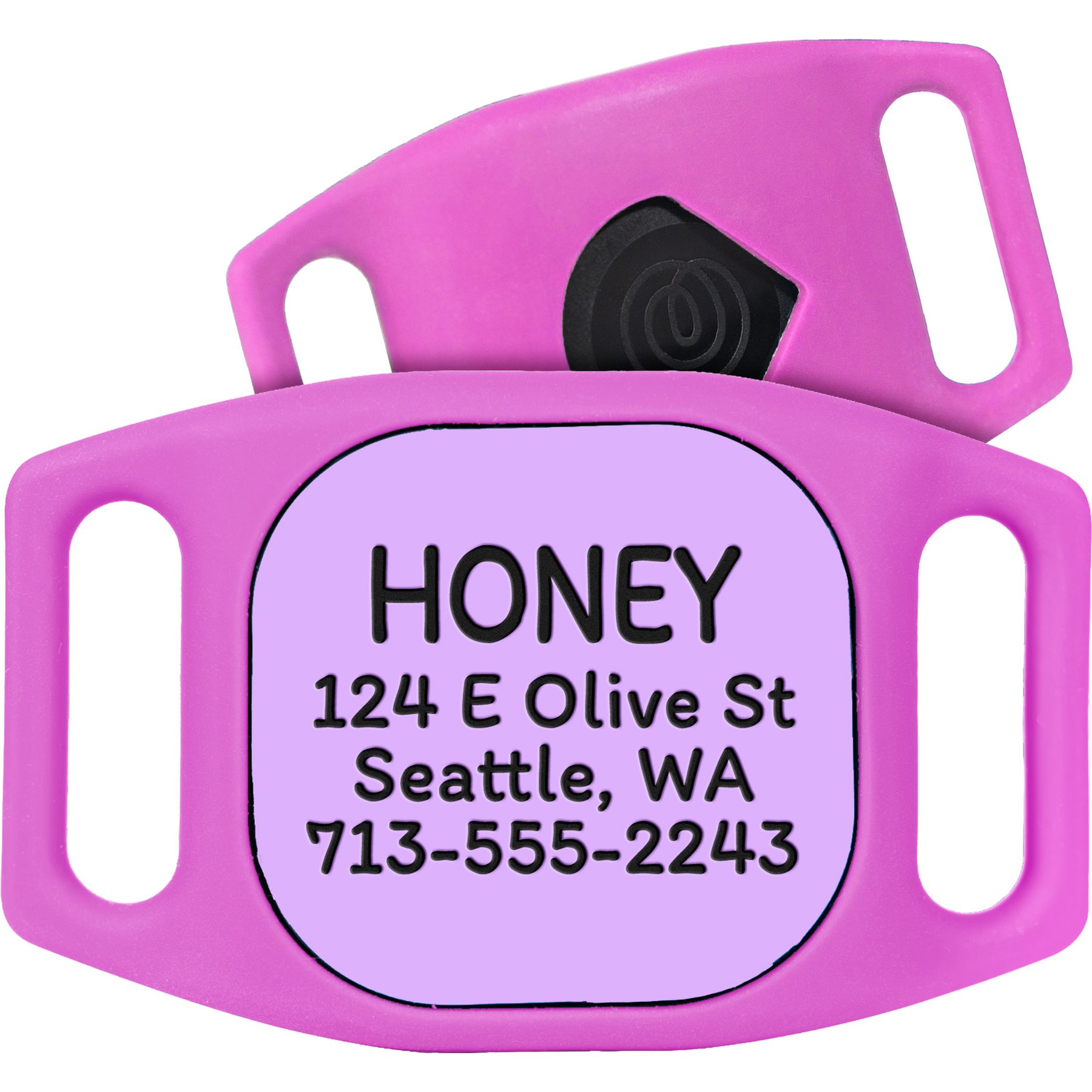 GoTags Life360 Tile Mate Personalized Tracker Holder Dog Collar Accessory, Pink, Large