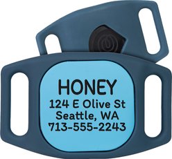 GoTags Life360 Tile Mate Personalized Tracker Holder Dog Collar Accessory, Blue, Large