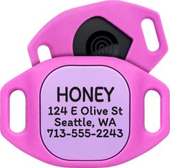GoTags Life360 Tile Mate Personalized Tracker Holder Dog Collar Accessory, Pink, Small