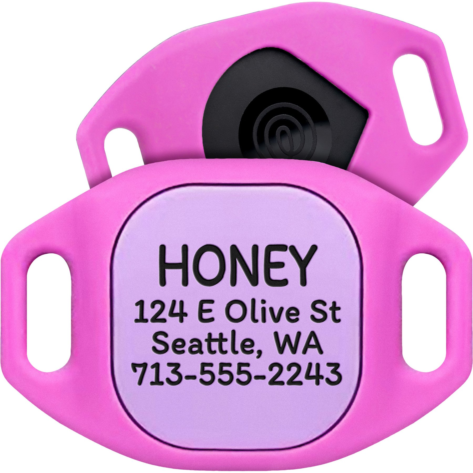 GoTags Life360 Tile Mate Personalized Tracker Holder Dog Collar Accessory, Pink, Small